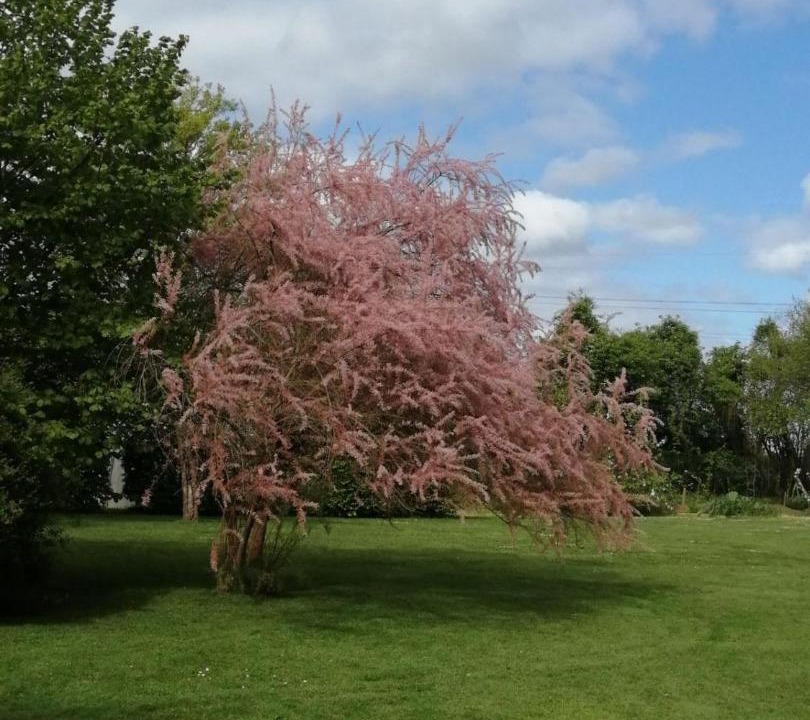 Photo of Others in Saint-Ouen-du-Mesnil-Oger