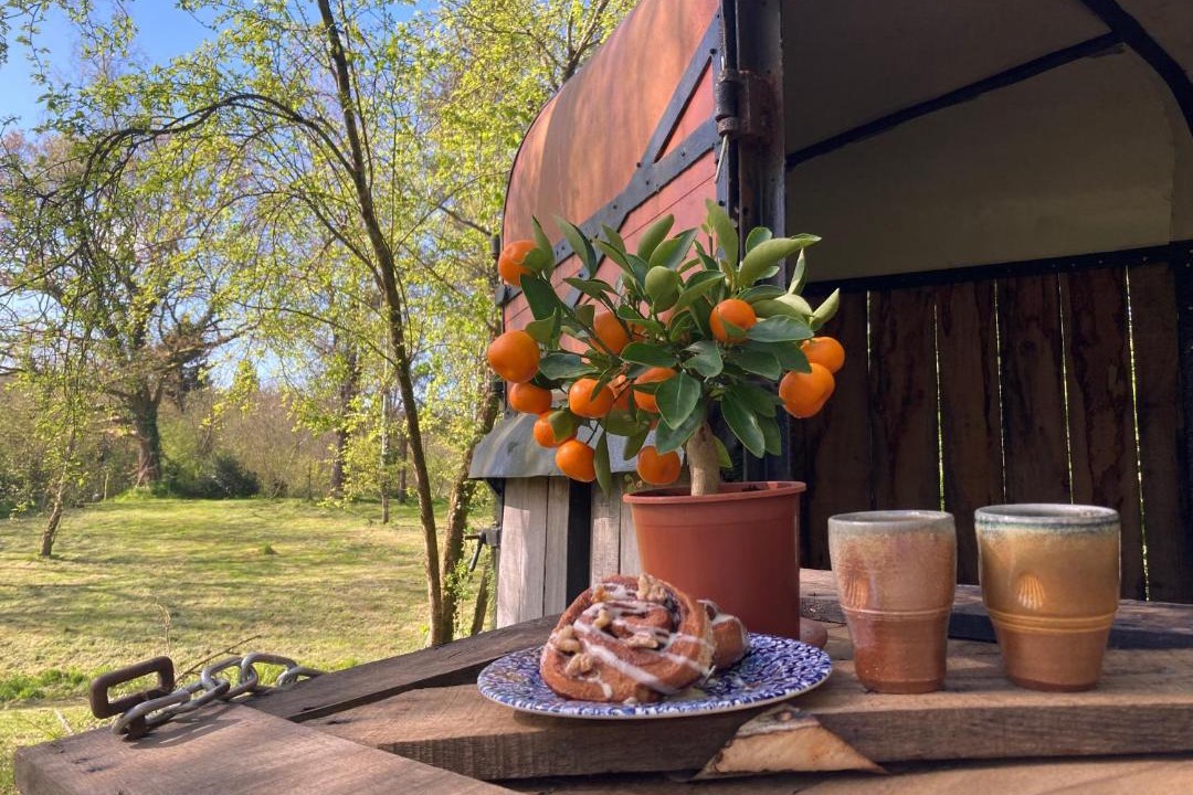 Photo of Others in Newcastle Emlyn