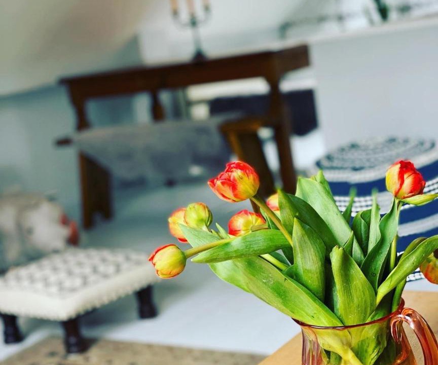 Photo of Others in Loddiswell