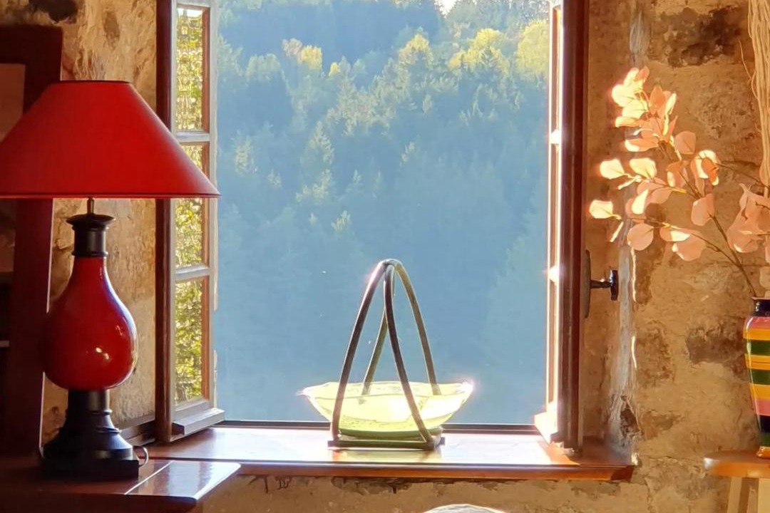 Photo of Others in Felines