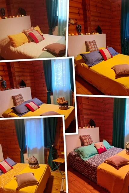 Photo of Others in Valpaja