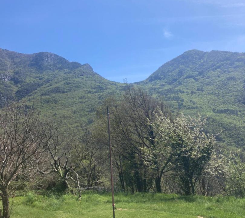 Photo of Others in Utelle