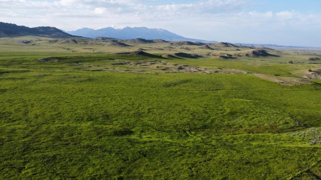 Photo of Outdoor in Livingston