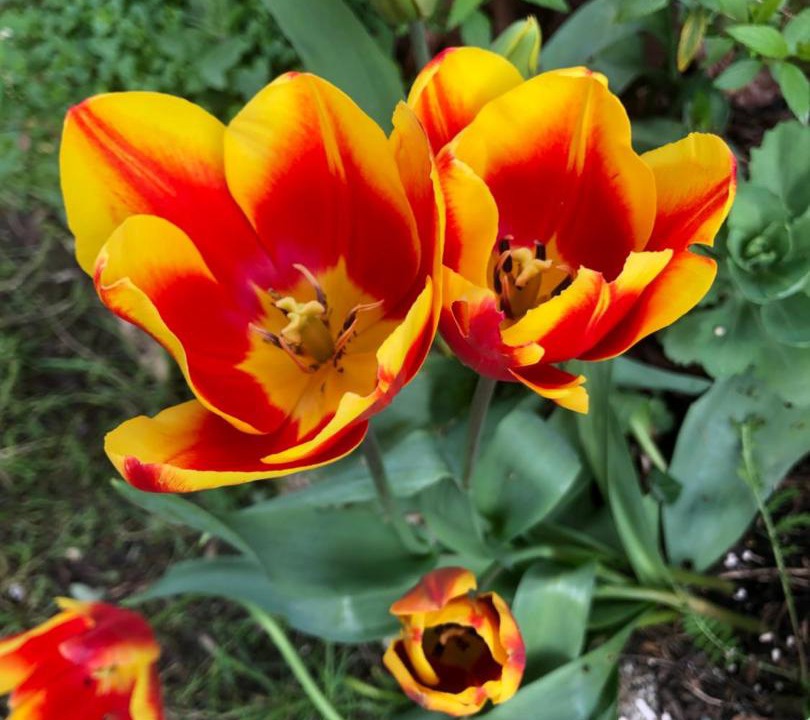 Photo of Others in Saint-Sebastien-sur-Loire