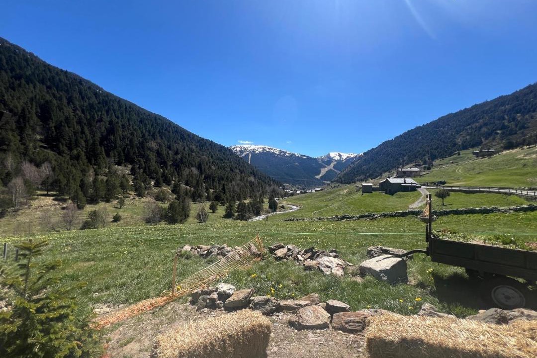 Photo of Others in Soldeu