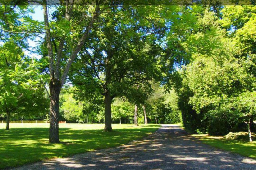 Photo of Others in Faux