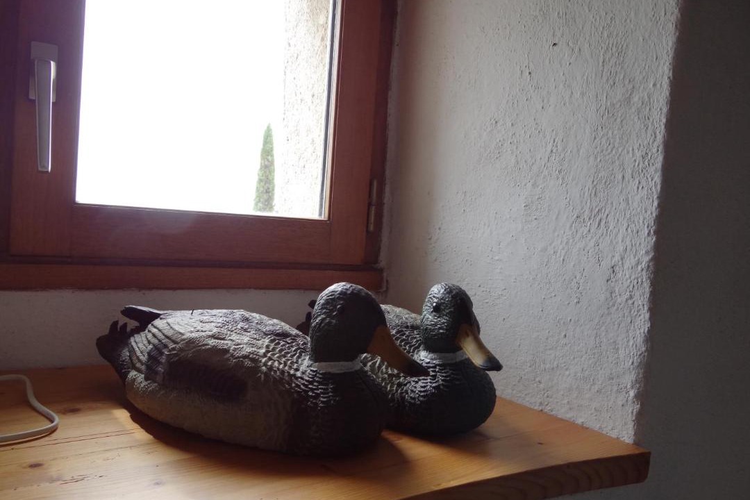 Photo of Others in Rochefort-sur-Loire