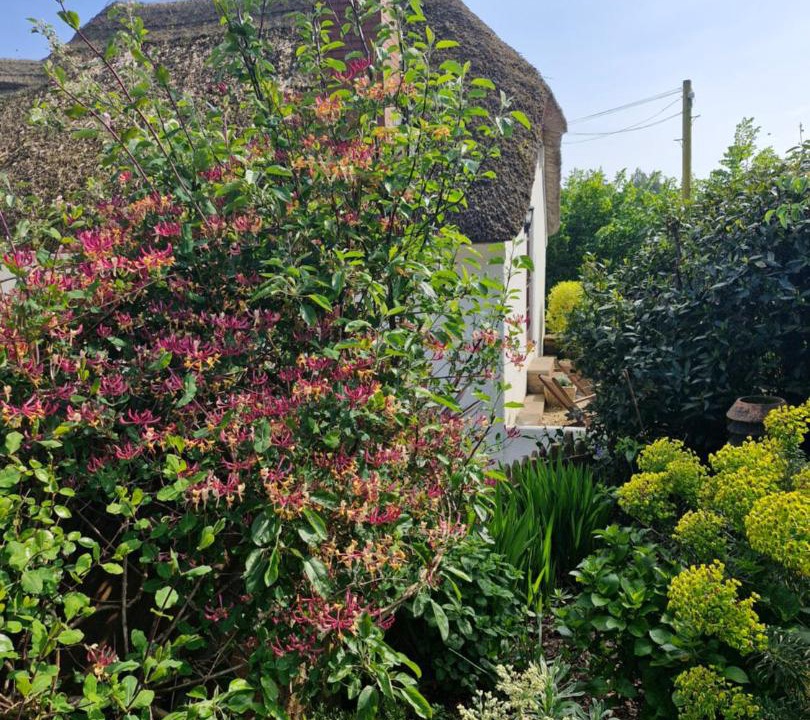 Photo of Others in Bicton