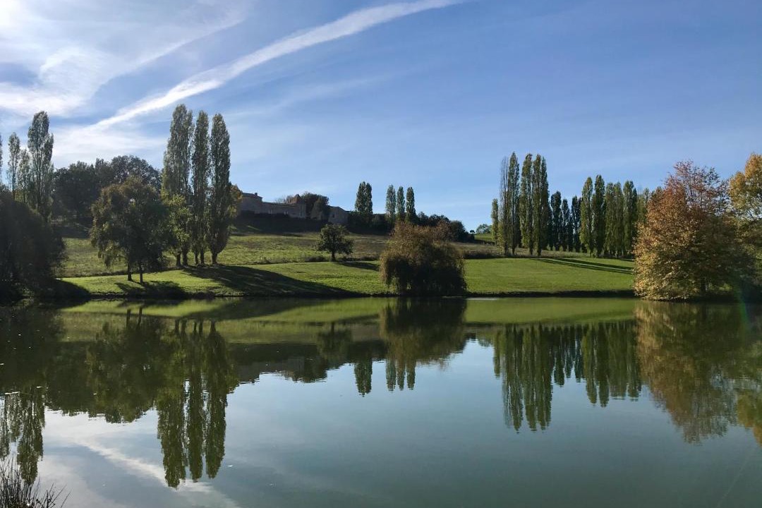 Photo of Others in Faux