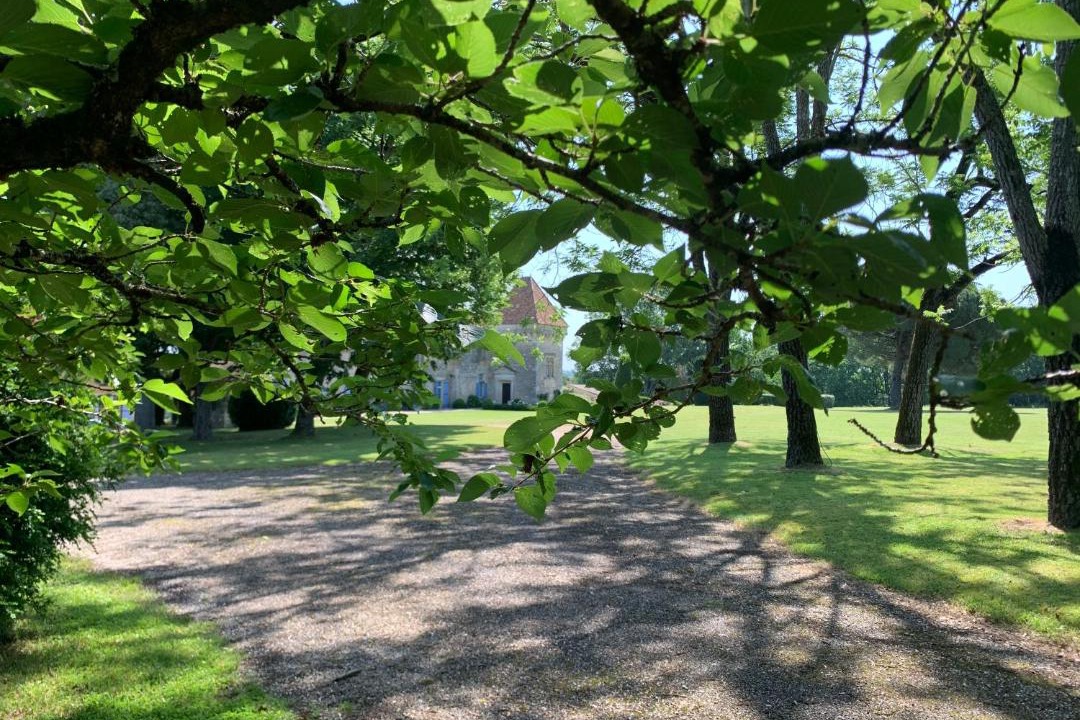 Photo of Others in Faux