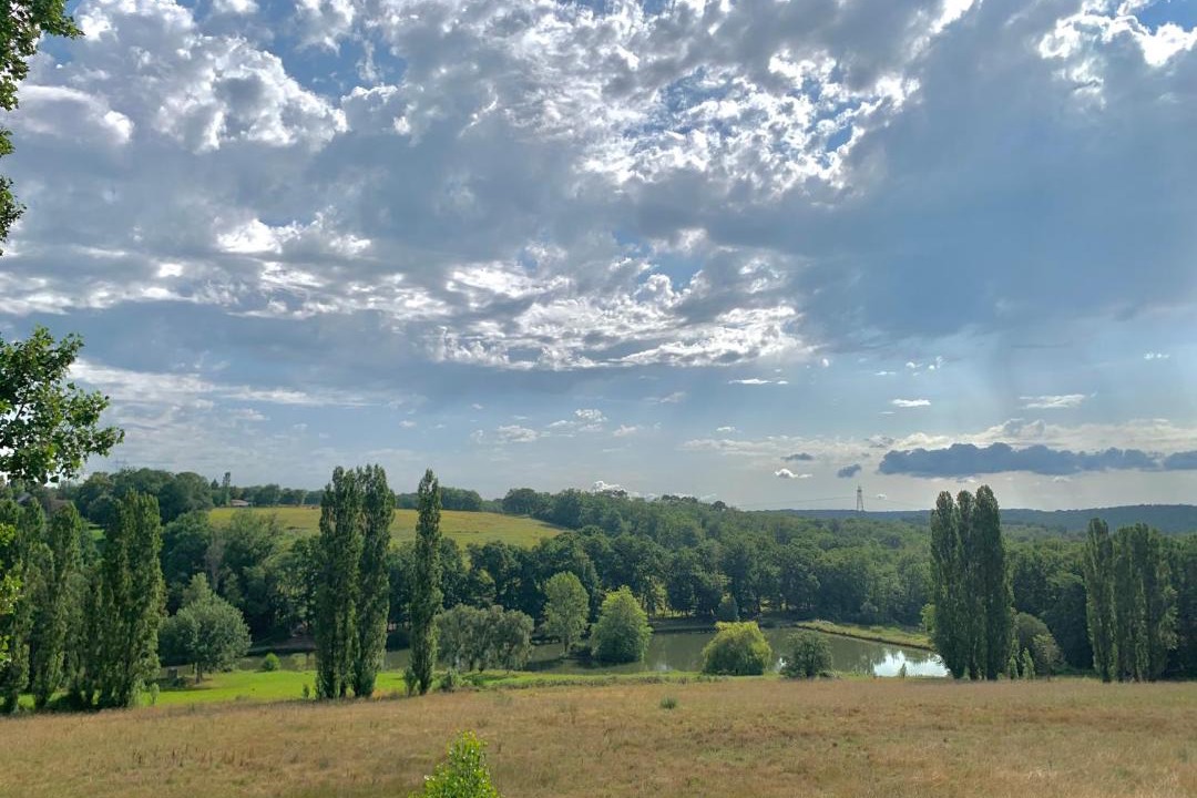 Photo of Others in Faux