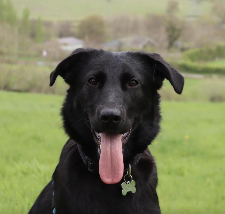 Photo of Others in Walcote