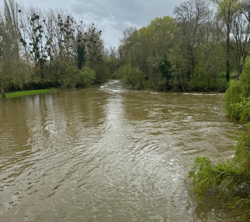 Photo of Others in La Milesse