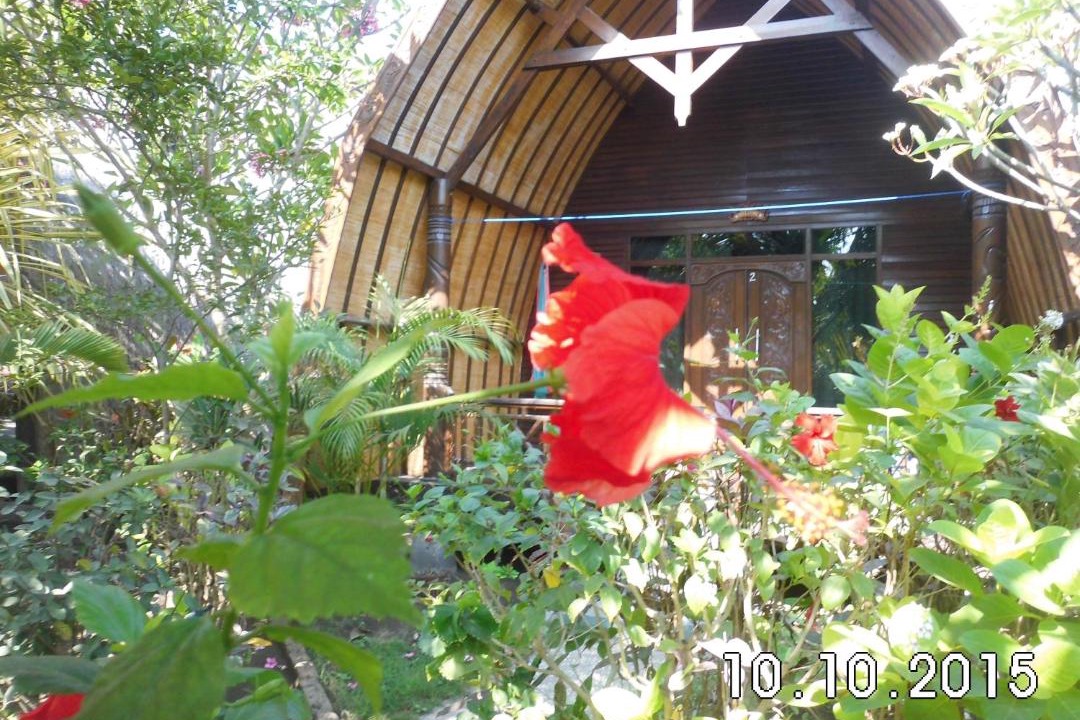 Photo of Others in Gili Air