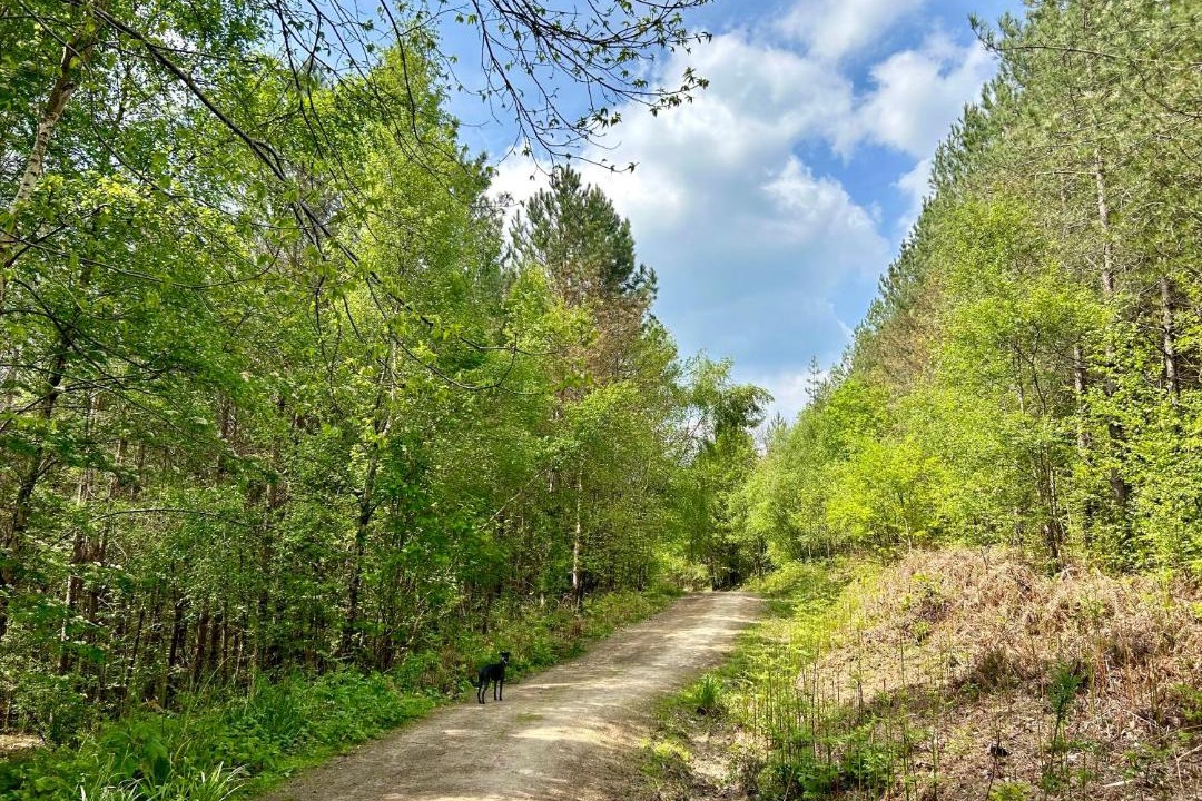 Photo of Others in Wadhurst