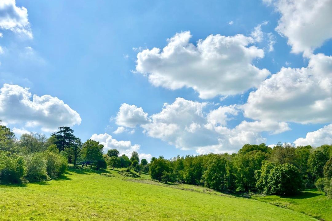 Photo of Others in Wadhurst