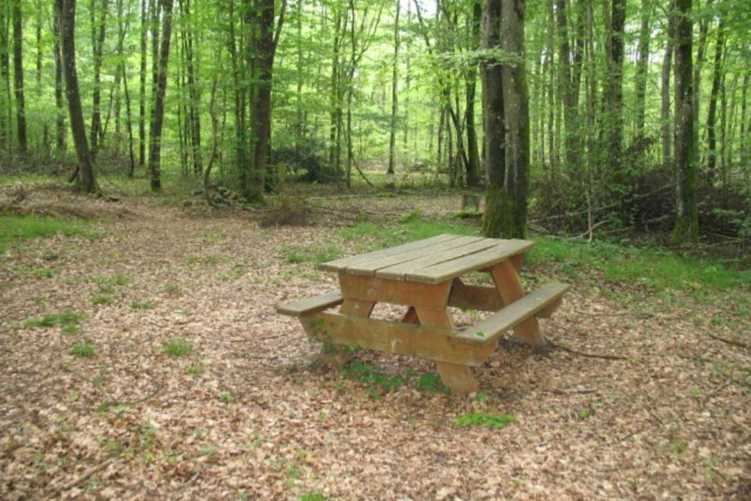 Photo of Others in Coulours