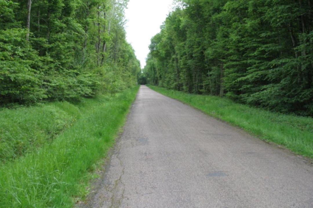 Photo of Others in Coulours