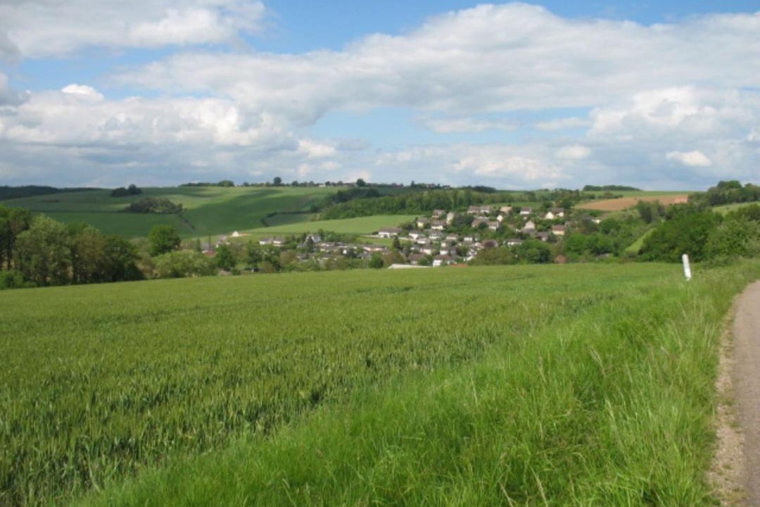 Photo of Others in Coulours