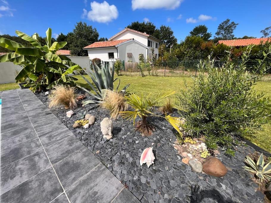 Photo of Others in Leon