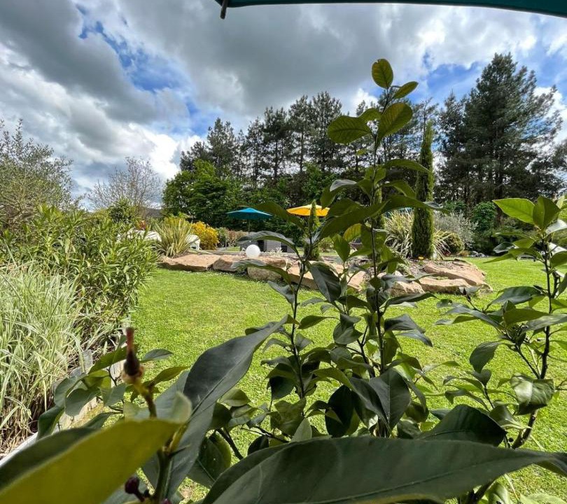 Photo of Others in Angrie