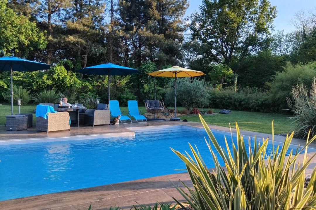 Photo of Others in Angrie