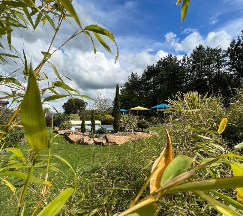 Photo of Others in Angrie