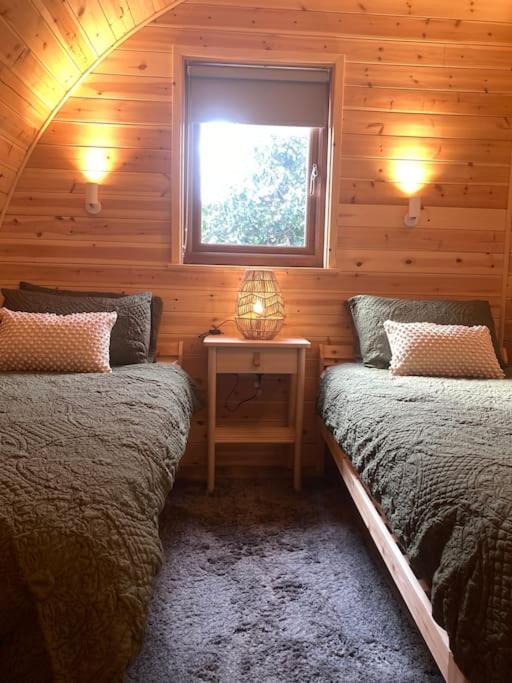 Photo of Others in Norton Disney