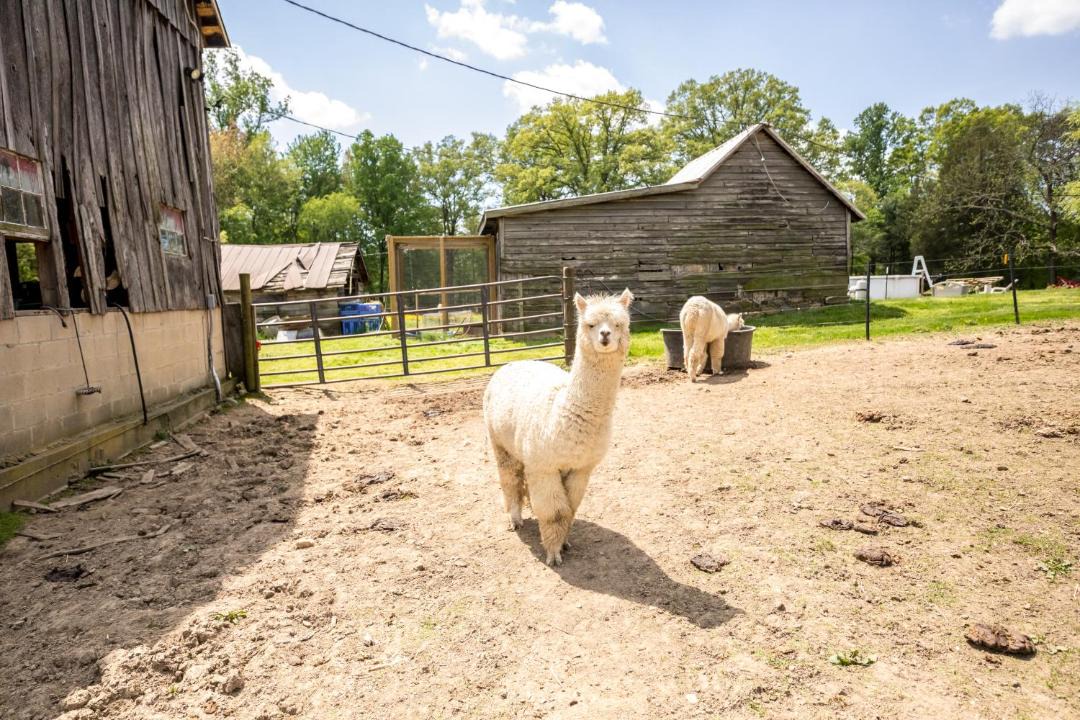 Photo of Others in Bel Air