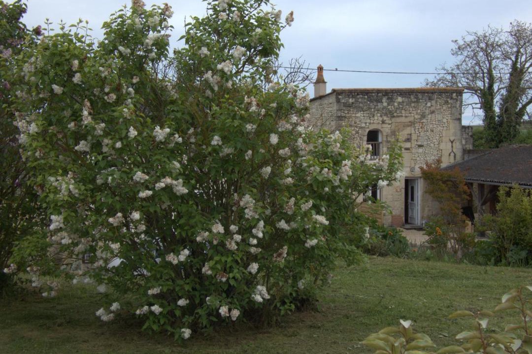 Photo of Others in Saint-Leger-de-Montbrillais