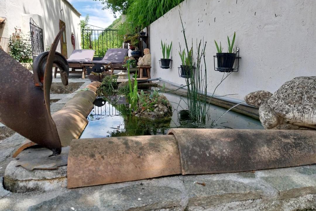 Photo of Others in Entrevaux