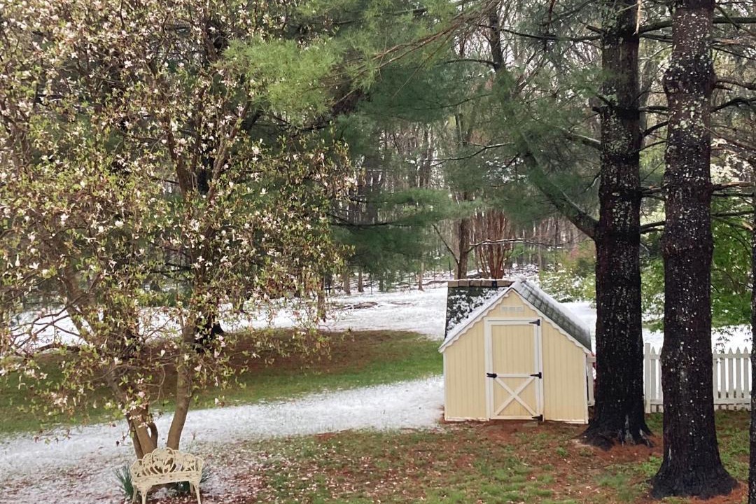 Photo of Others in Purcellville