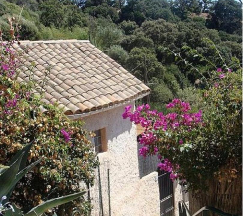 Photo of Others in Le Pradet