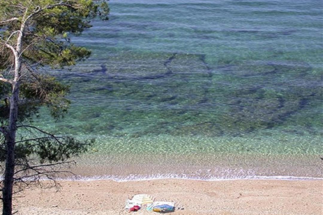 Photo of Outdoor in Le Pradet