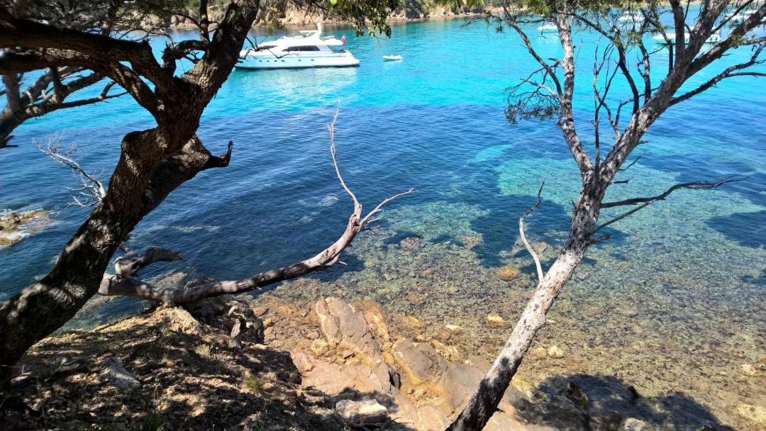 Photo of Outdoor in Le Pradet