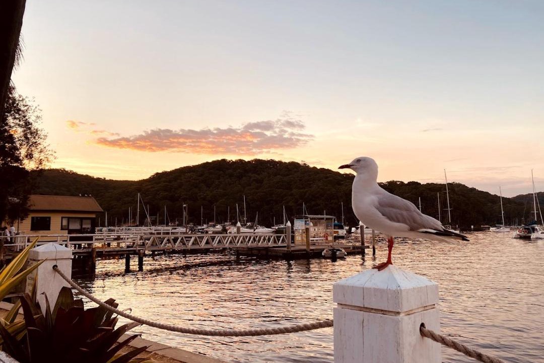 Photo of Others in Church Point