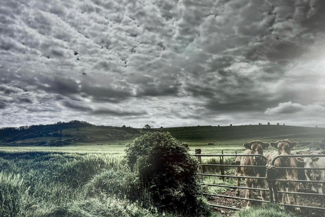 Photo of Others in Envermeu