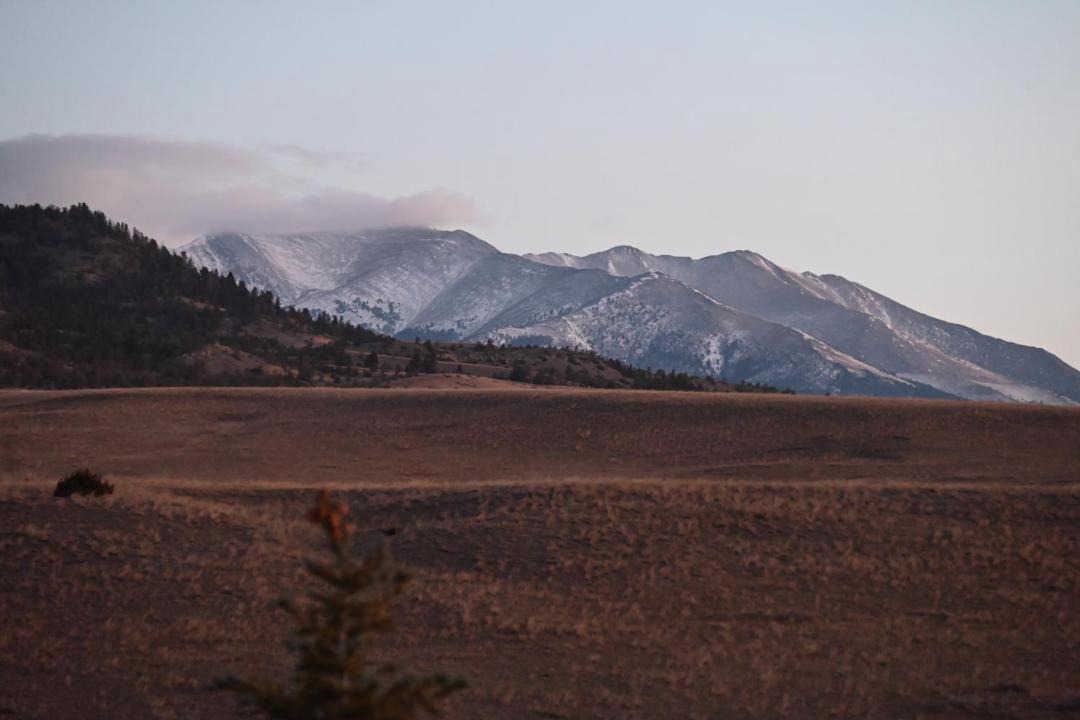 Photo of Others in Livingston