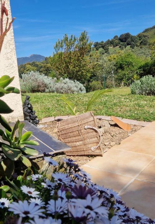 Photo of Others in Vico