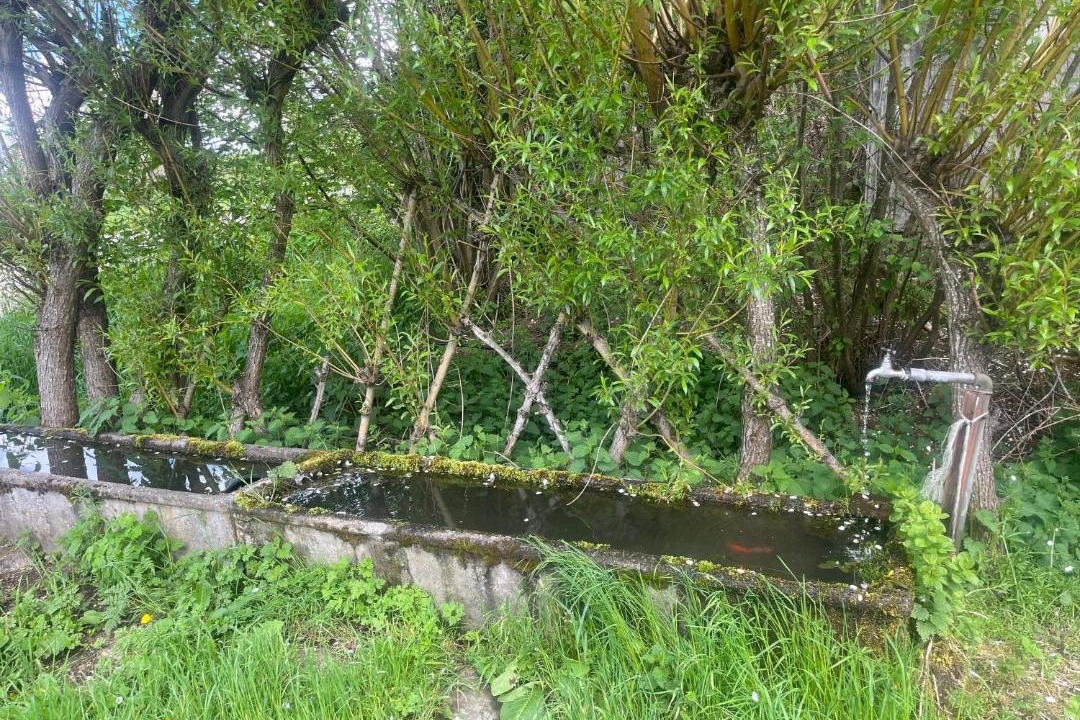 Photo of Outdoor in Cisternes-la-Foret