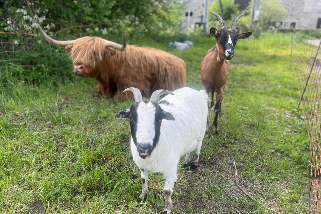 Photo of Others in Cisternes-la-Foret