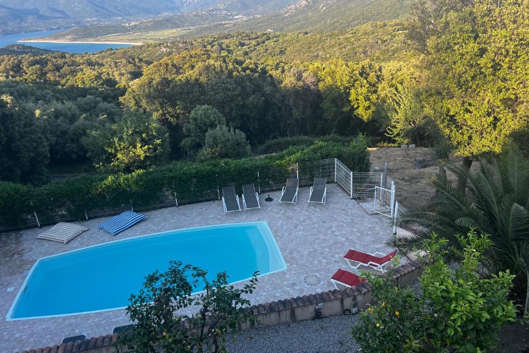 Photo of Others in Belvedere-Campomoro