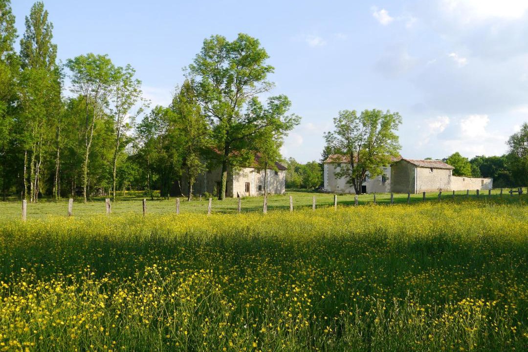 Photo of Others in Chassaignes