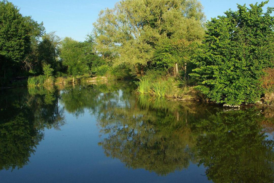 Photo of Others in Chassaignes