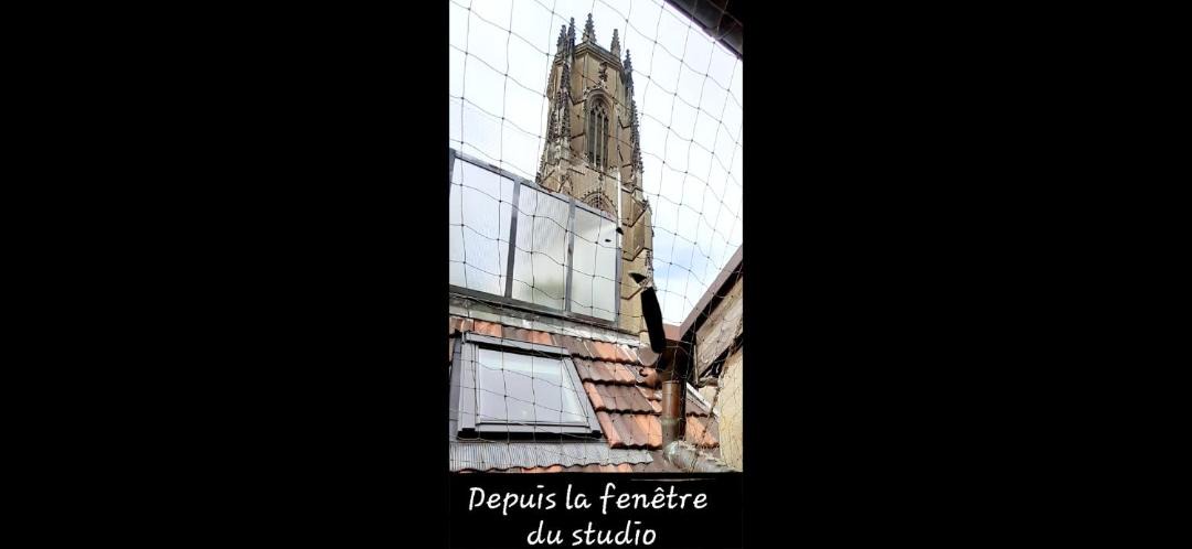 Photo of Others in Fribourg