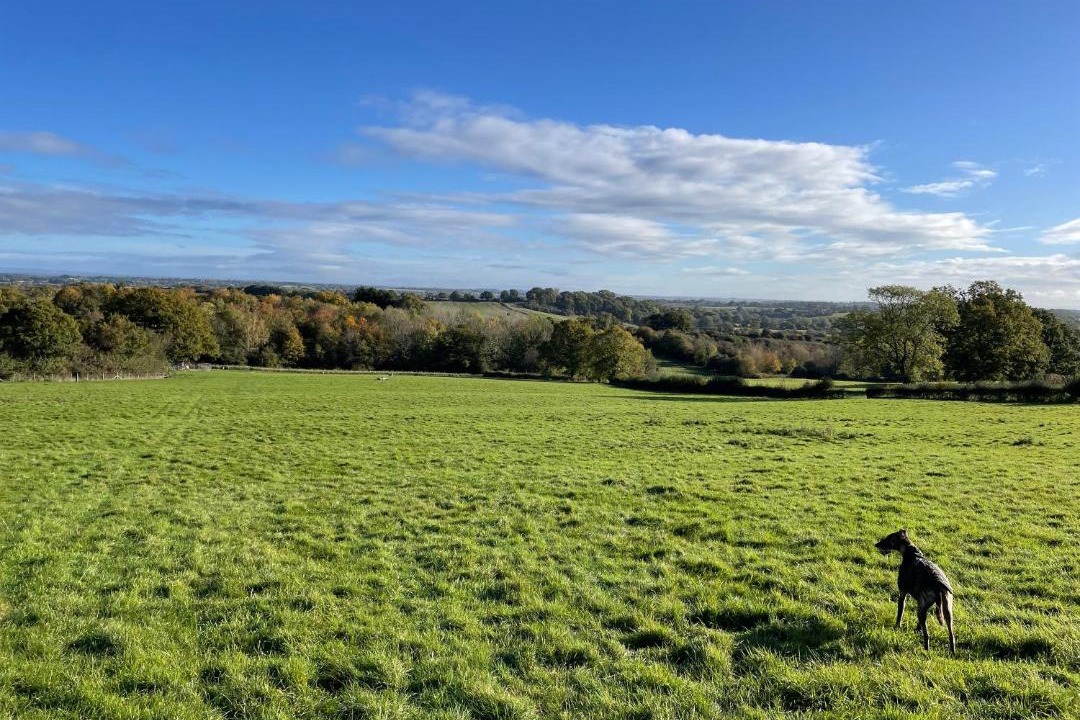 Photo of Others in Alfrick