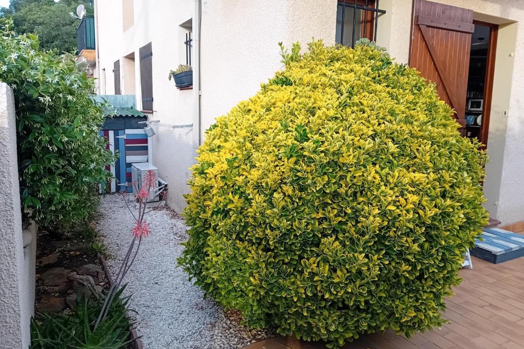 Photo of Others in Plage d'Argeles