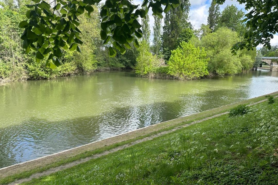 Photo of Others in Poissy