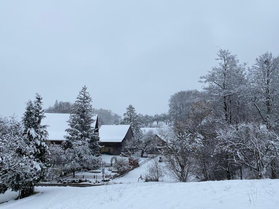Photo of Others in Pfaffikon District