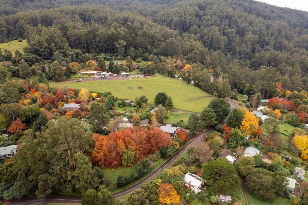 Photo of Others in Warburton